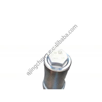 Dimensioni standard Dongfeng Kinland Camion Motore diesel Carburante Common Rail Pipe D5010224030