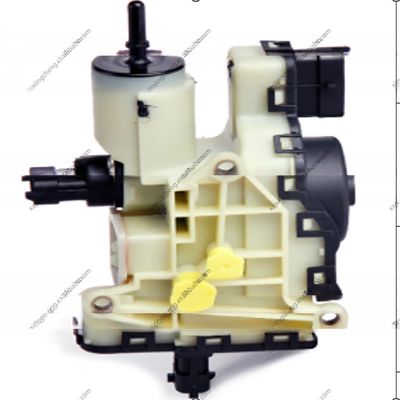 0024706894 0024704994 0928404016 Pompa di dosaggio per le pompe di misurazione dell'urea Ford